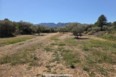 Landejendom i Ginestar, Tarragona, Ginestar - € 36.000 | Ref: 1013 Ginagua - foto 12