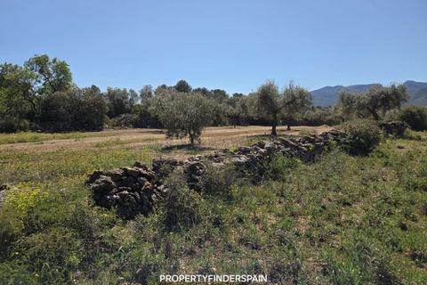 Landejendom i Ginestar, Tarragona, Ginestar - € 36.000 | Ref: 1013 Ginagua - foto 16