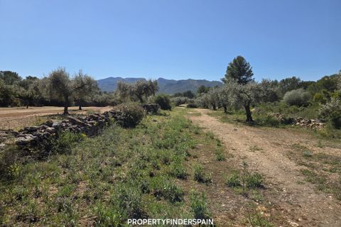 Landejendom i Ginestar, Tarragona, Ginestar - € 36.000 | Ref: 1013 Ginagua - foto 13