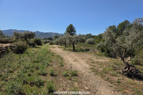 Landejendom i Ginestar, Tarragona, Ginestar - € 36.000 | Ref: 1013 Ginagua - foto 8