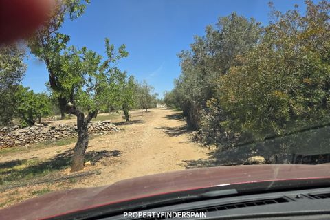 Landejendom i Ginestar, Tarragona, Ginestar - € 36.000 | Ref: 1013 Ginagua - foto 14