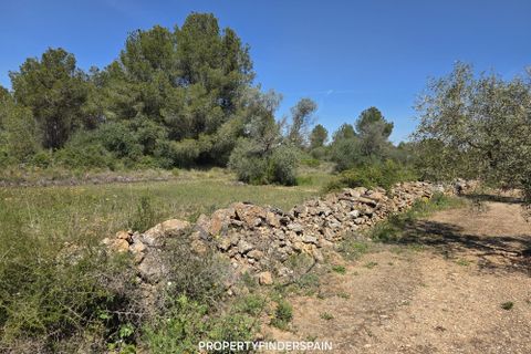 Landejendom i Ginestar, Tarragona, Ginestar - € 36.000 | Ref: 1013 Ginagua - foto 10