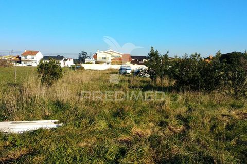 Helårsgrund i Ilhavo, Aveiro, Ilhavo - € 80.000 | Ref: 021728 - foto 1