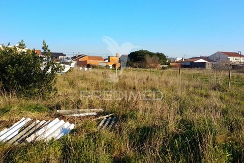 Helårsgrund i Ilhavo, Aveiro, Ilhavo - € 80.000 | Ref: 021728 - foto 2