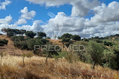 Helårsgrund i Avis, Portalegre, Avis - € 13.250 | Ref: 031209 - foto 1