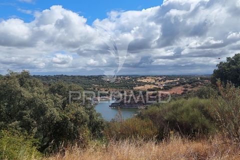 Helårsgrund i Avis, Portalegre, Avis - € 13.250 | Ref: 031209 - foto 2