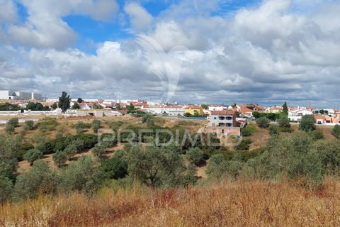 Helårsgrund i Avis, Portalegre, Avis - € 13.250 | Ref: 031209 - foto 3