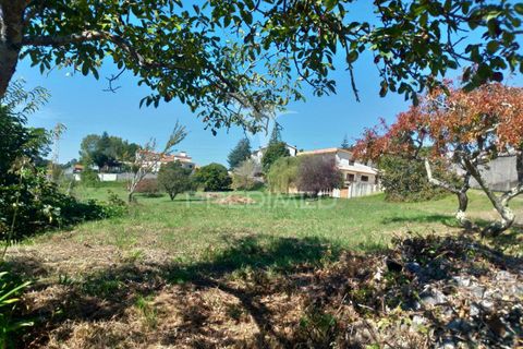 Helårsgrund i Gondomar, Porto, Gondomar - € 2.950.000 | Ref: 032840 - foto 2