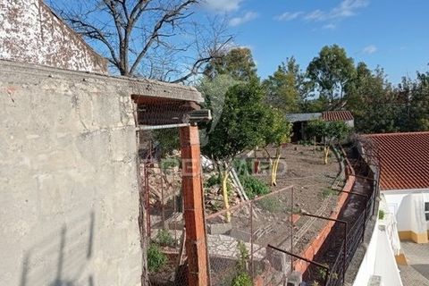 Byhus i Fronteira, Portalegre, Fronteira - € 89.000 | Ref: 034645 - foto 21