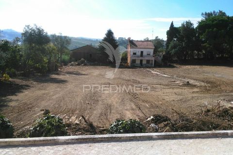 Helårsgrund i Torres Vedras, Lisbon, Torres Vedras - € 470.000 | Ref: 034773 - foto 5