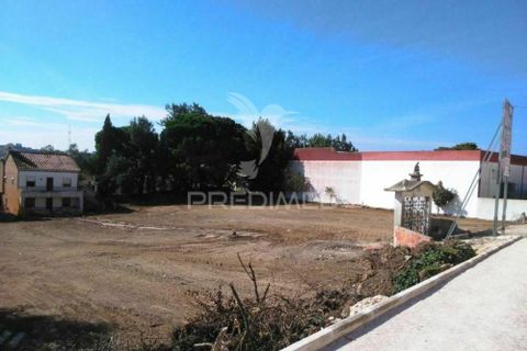 Helårsgrund i Torres Vedras, Lisbon, Torres Vedras - € 470.000 | Ref: 034773 - foto 7
