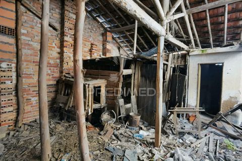 Byhus i Alcanena, Santarem, Alcanena - € 35.000 | Ref: 035120 - foto 14