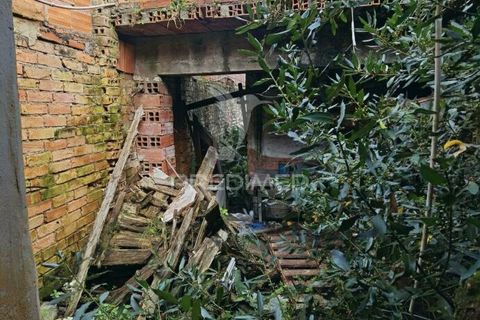 Byhus i Alcanena, Santarem, Alcanena - € 35.000 | Ref: 035120 - foto 15