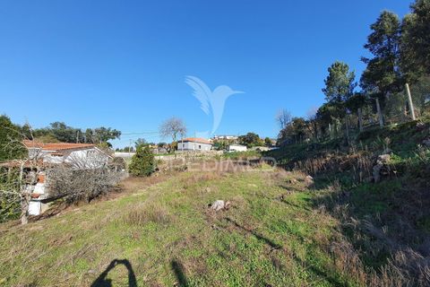 Helårsgrund i Santo Tirso, Porto, Santo Tirso - € 87.500 | Ref: 035259 - foto 3