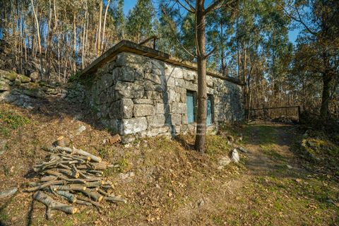 Helårsgrund i Terras de Bouro, Braga, Terras de Bouro - € 77.000 | Ref: 035603 - foto 1