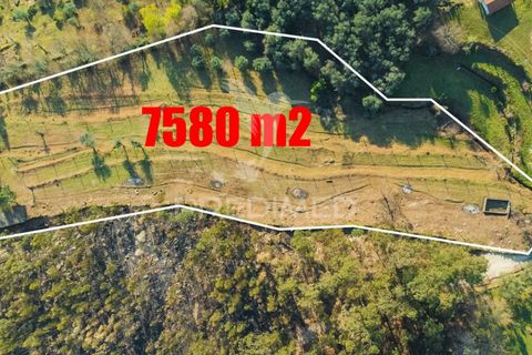 Helårsgrund i Terras de Bouro, Braga, Terras de Bouro - € 77.000 | Ref: 035603 - foto 2