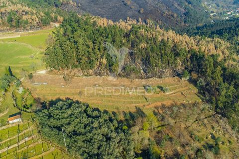 Helårsgrund i Terras de Bouro, Braga, Terras de Bouro - € 77.000 | Ref: 035603 - foto 4
