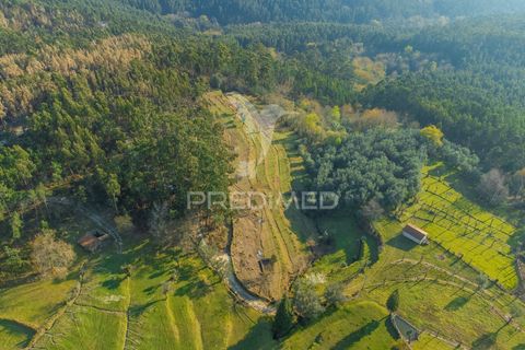 Helårsgrund i Terras de Bouro, Braga, Terras de Bouro - € 77.000 | Ref: 035603 - foto 7