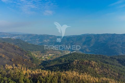 Helårsgrund i Terras de Bouro, Braga, Terras de Bouro - € 77.000 | Ref: 035603 - foto 8