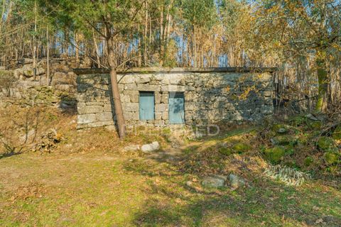 Helårsgrund i Terras de Bouro, Braga, Terras de Bouro - € 77.000 | Ref: 035603 - foto 9