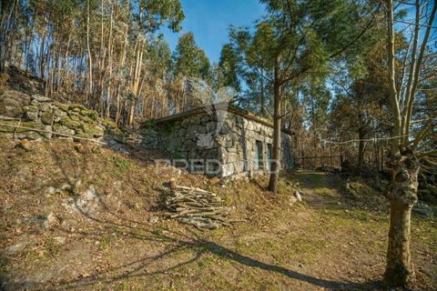 Helårsgrund i Terras de Bouro, Braga, Terras de Bouro - € 77.000 | Ref: 035603 - foto 10