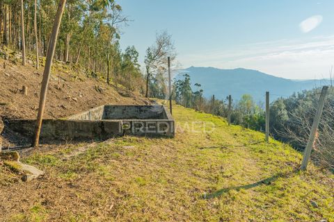Helårsgrund i Terras de Bouro, Braga, Terras de Bouro - € 77.000 | Ref: 035603 - foto 11