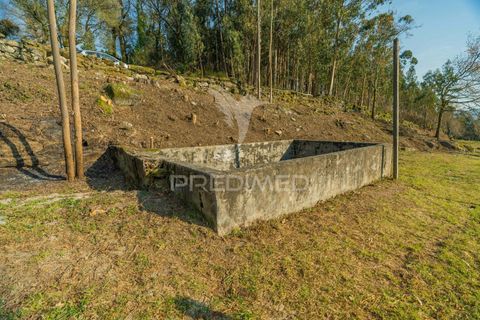 Helårsgrund i Terras de Bouro, Braga, Terras de Bouro - € 77.000 | Ref: 035603 - foto 12