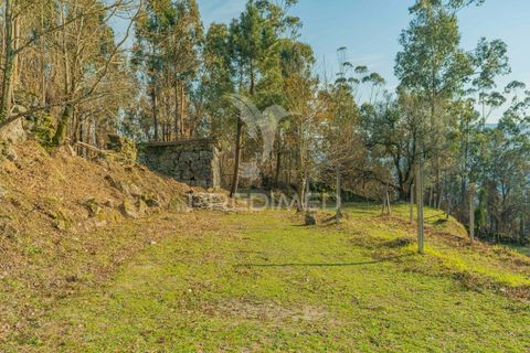 Helårsgrund i Terras de Bouro, Braga, Terras de Bouro - € 77.000 | Ref: 035603 - foto 13