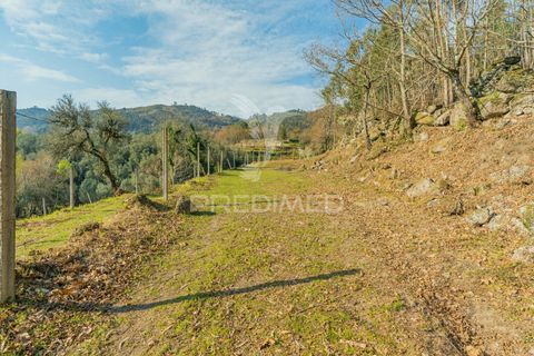 Helårsgrund i Terras de Bouro, Braga, Terras de Bouro - € 77.000 | Ref: 035603 - foto 14