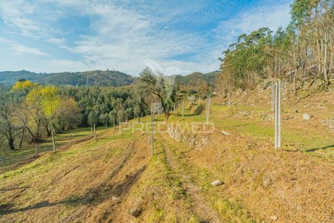 Helårsgrund i Terras de Bouro, Braga, Terras de Bouro - € 77.000 | Ref: 035603 - foto 15