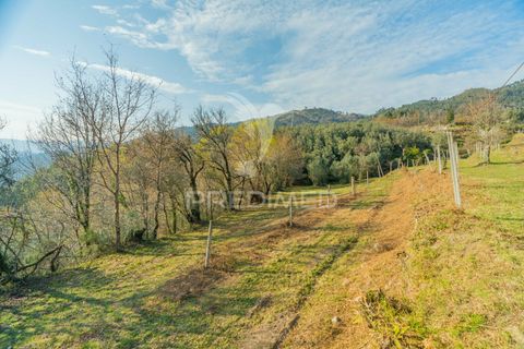 Helårsgrund i Terras de Bouro, Braga, Terras de Bouro - € 77.000 | Ref: 035603 - foto 16