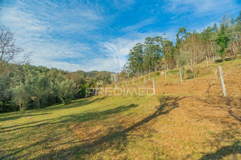 Helårsgrund i Terras de Bouro, Braga, Terras de Bouro - € 77.000 | Ref: 035603 - foto 17