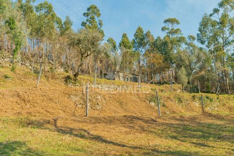 Helårsgrund i Terras de Bouro, Braga, Terras de Bouro - € 77.000 | Ref: 035603 - foto 18