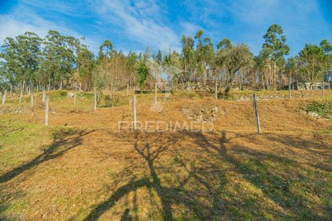 Helårsgrund i Terras de Bouro, Braga, Terras de Bouro - € 77.000 | Ref: 035603 - foto 19