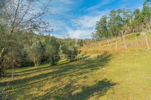 Helårsgrund i Terras de Bouro, Braga, Terras de Bouro - € 77.000 | Ref: 035603 - foto 20