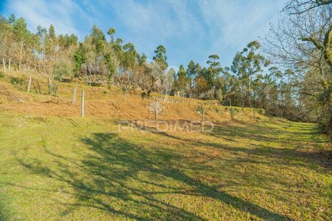 Helårsgrund i Terras de Bouro, Braga, Terras de Bouro - € 77.000 | Ref: 035603 - foto 21
