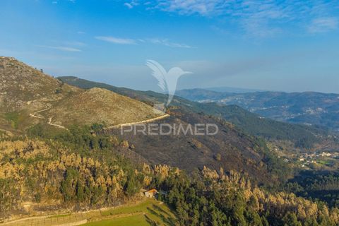 Helårsgrund i Terras de Bouro, Braga, Terras de Bouro - € 77.000 | Ref: 035603 - foto 22