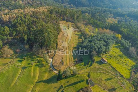 Helårsgrund i Terras de Bouro, Braga, Terras de Bouro - € 77.000 | Ref: 035603 - foto 23