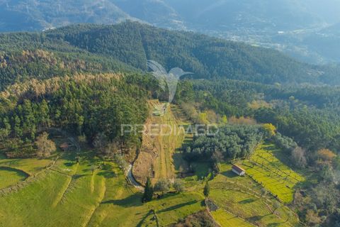 Helårsgrund i Terras de Bouro, Braga, Terras de Bouro - € 77.000 | Ref: 035603 - foto 24