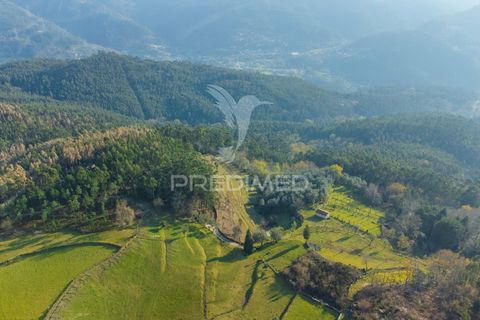 Helårsgrund i Terras de Bouro, Braga, Terras de Bouro - € 77.000 | Ref: 035603 - foto 25