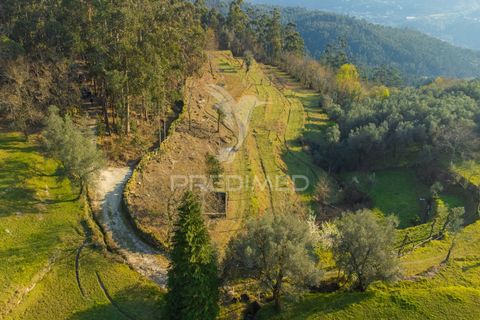 Helårsgrund i Terras de Bouro, Braga, Terras de Bouro - € 77.000 | Ref: 035603 - foto 26