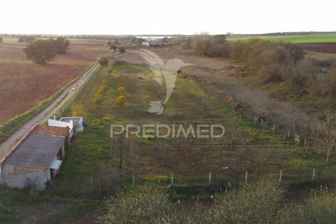 Helårsgrund i Beja, Beja, Beja - € 44.900 | Ref: 035712 - foto 1