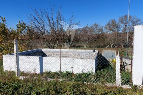 Helårsgrund i Beja, Beja, Beja - € 44.900 | Ref: 035712 - foto 4