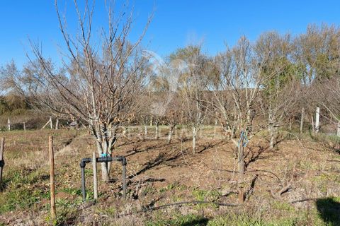 Helårsgrund i Beja, Beja, Beja - € 44.900 | Ref: 035712 - foto 5