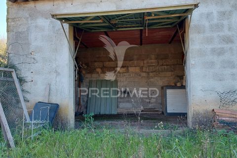 Helårsgrund i Beja, Beja, Beja - € 44.900 | Ref: 035712 - foto 8