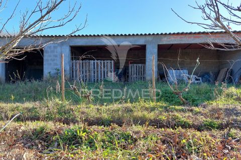 Helårsgrund i Beja, Beja, Beja - € 44.900 | Ref: 035712 - foto 10