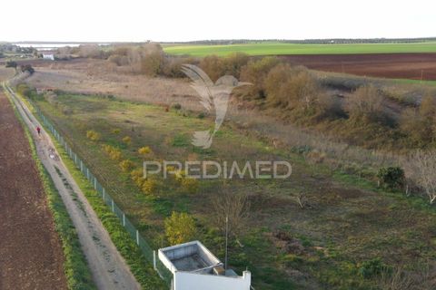 Helårsgrund i Beja, Beja, Beja - € 44.900 | Ref: 035712 - foto 11
