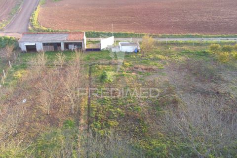 Helårsgrund i Beja, Beja, Beja - € 44.900 | Ref: 035712 - foto 12