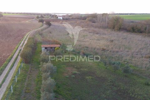 Helårsgrund i Beja, Beja, Beja - € 44.900 | Ref: 035712 - foto 15