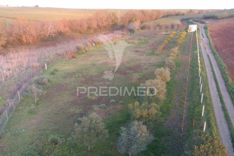 Helårsgrund i Beja, Beja, Beja - € 44.900 | Ref: 035712 - foto 16